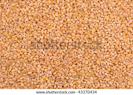 Photograph of the sample pearl barley poured out onto the tray of rectangular
