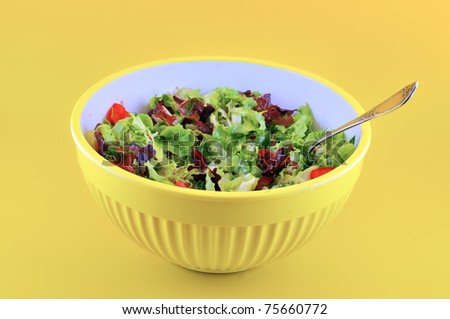 Big yellow bowl of salad sfotografiravannaya against yellow background