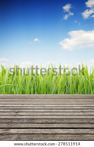 grass with sky and wood slat in the spring