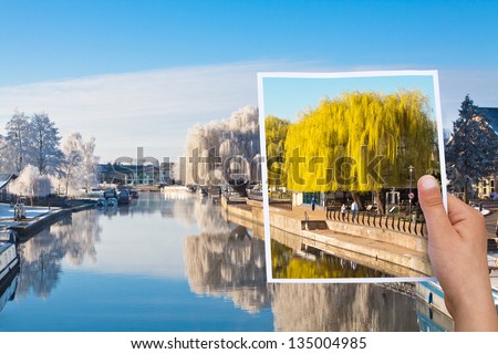 memorable picture summer willow tree, time passing concept summer vs. winter