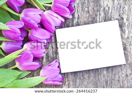 violet tulips on the oak brown table with white sheet of paper 6