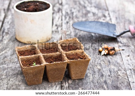 starter growing pots on the table with garden showel