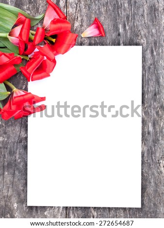faded red tulips on the oak brown table with white sheet of paper