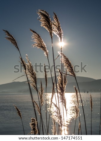 Spike and sun over the lake with a mountain background
