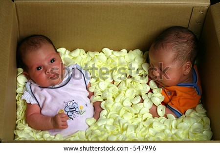 Two babies in soft foam packaging in a box