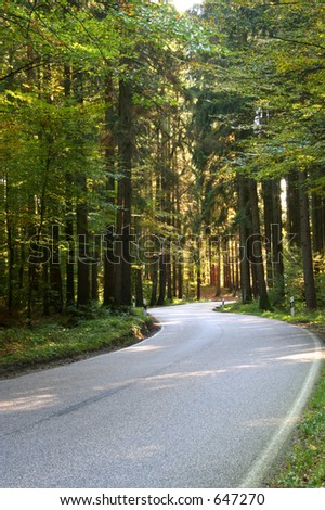 A romantic road through a forest s curve