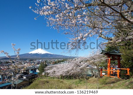 Mountain Fuji in spring ,Cherry blossom Sakura
