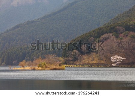 beautiful landscape of lake tanaki at fujinomiya , japan