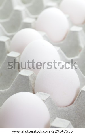 Close - up white egg in paper tray