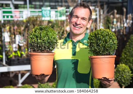 Gardener or employee at garden center posing with two boxtrees