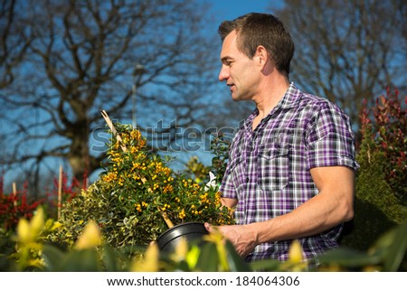Man looks at bush full of berries in nursery or garden