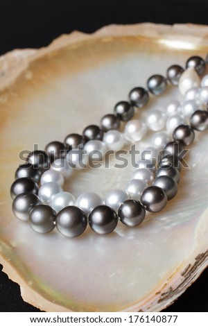 white pearl necklaces and black pearl necklaces on pearl shell