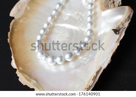 White Pearl necklaces on pearl shell
