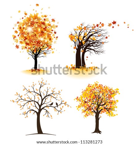 Autumn Tree Set Ilustración vectorial en stock 113281273 : Shutterstock