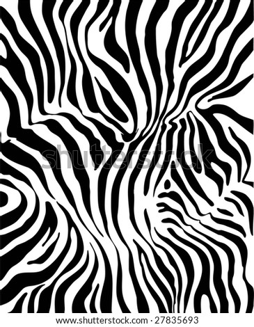 stock vector Zebra skin