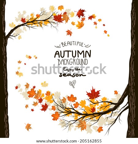 Fall background with leaves. Autumnal frame from trees