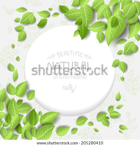 Eco style background with leaves. Place for text
