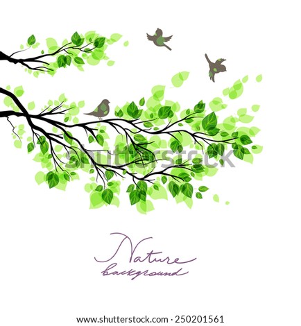 Birds with green branches. Summer or spring nature background with place for text.