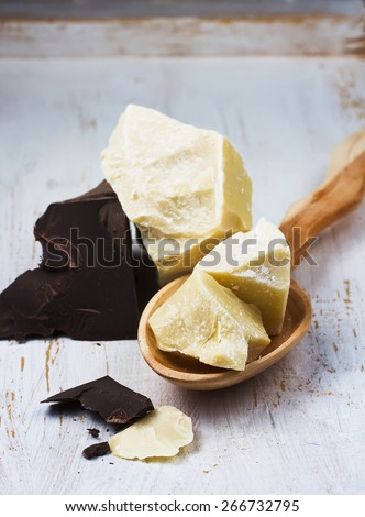 cocoa butter and cocoa mass on white background. selective focus