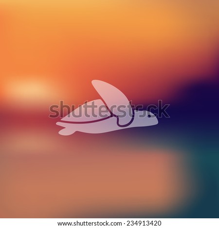 turtle icon on blurred background