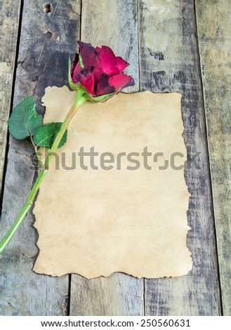 Fresh red rose and old paper on wooden background. Holidays romantic background