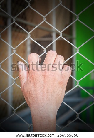 Hands with Mesh cage, Hands with steel mesh fence