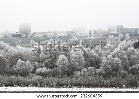 winter snow city landscape. All trees at frost