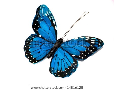 wallpaper blue butterfly. lue butterfly background