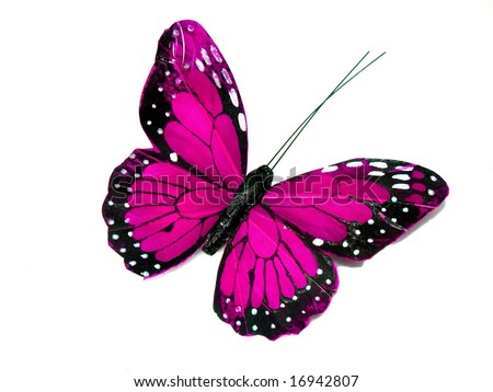 stock photo A pink butterfly isolated on white