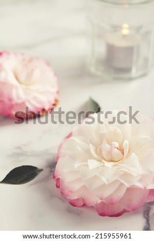Tea light candle with camellia flower background