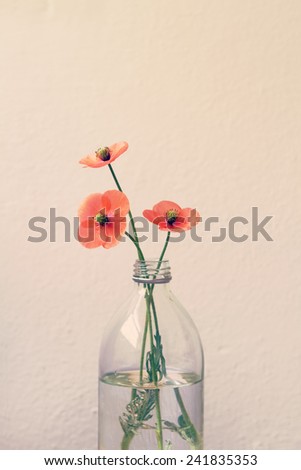 Three poppies in a retro glass milk bottle vase