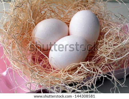Eggs in a nest in egg cartoon