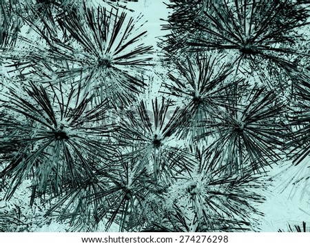Black and white X-ray photo of pine needles on tree abstract