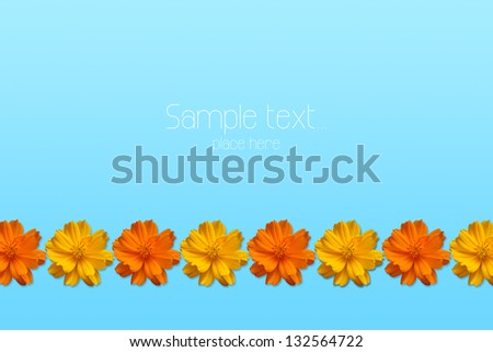Orange and yellow flowers create a circle frame on blue background