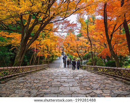 KYOTO, JAPAN - NOVEMBER 29: Stairway to the famous Zen garden at Rioan-ji Temple on November 29, 2012 in Kyoto. The temple from the 15th century is a UNESCO World Heritage site.