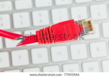 The red, broken cable of a network from a computer.