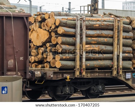 wagon of the railroad loaded with wood. freight train. freight rail