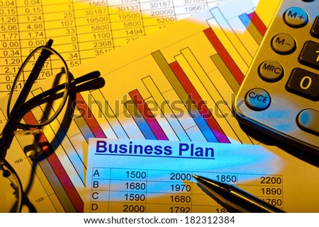 a business plan for starting a business. ideas and strategies for self-employment.
