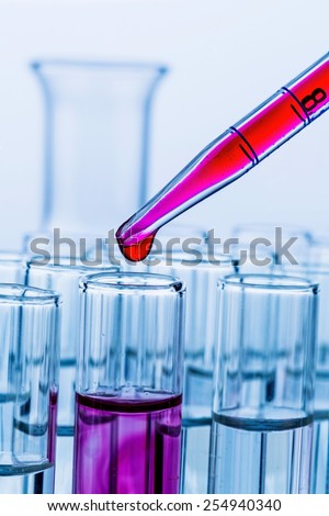 many test tubes for an experiment in a research laboratory of a university. learning and research symbolic photo for.