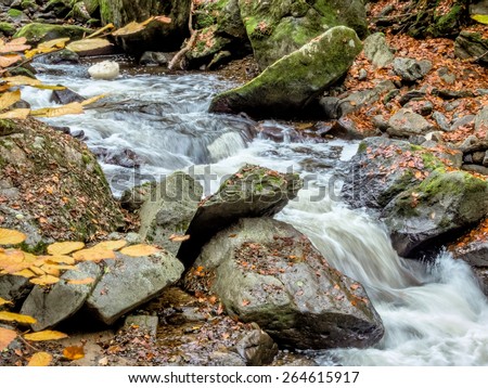 a creek with rocks and flowing water. landscape experience in nature.