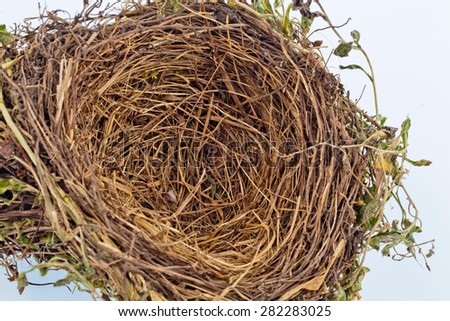 the empty nest of a bird. empty bird\'s nest. symbol image for building savings and construction