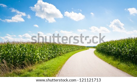 country road near rome - nice background