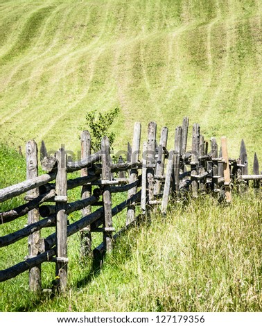 beautiful old fence at a meadow