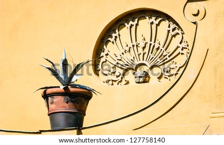 potted plant in front of brown wall