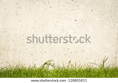 modern concrete wall and grass - nice background with space for text