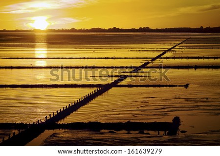 sunset at the mud flat in friesland