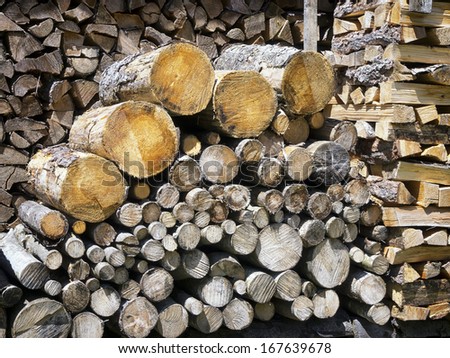 heap of firewood and tree trunks
