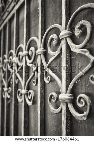 ornate old fence - close up