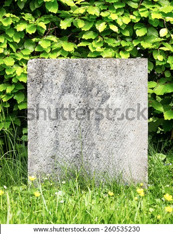 blank stone in front of hedge