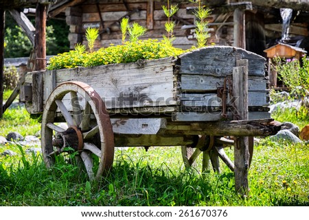 flowers in an old cart